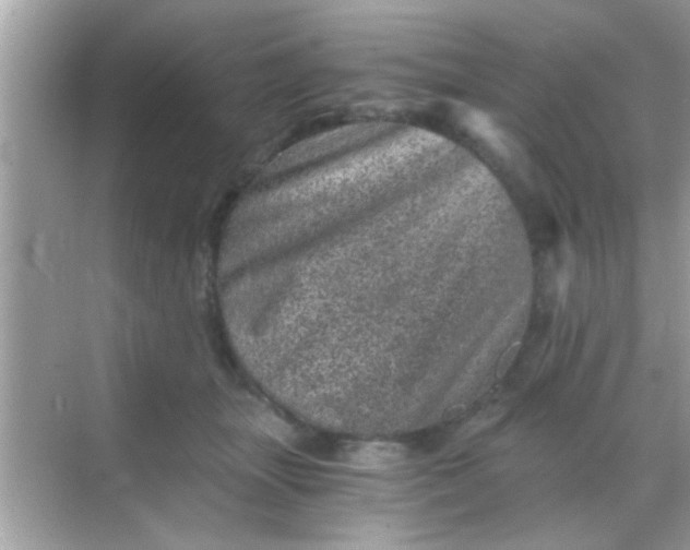 X0000068280463200605051846