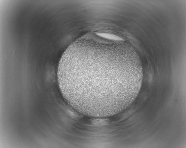 X0000068280465200605051846