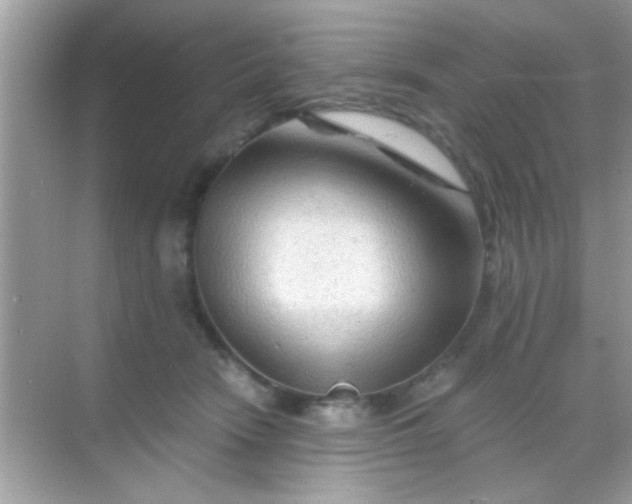 X0000068280466200605051846