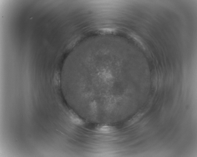 X0000068280467200605051846