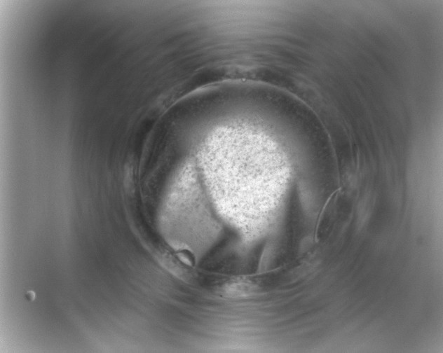 X0000068280468200605051846