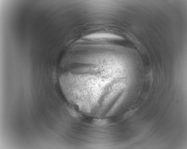 X0000068280469200605051846