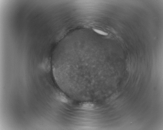 X0000068280471200605051846