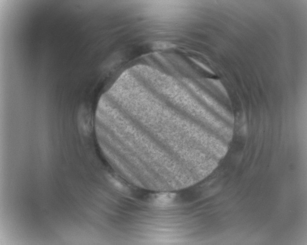 X0000068280474200605051846