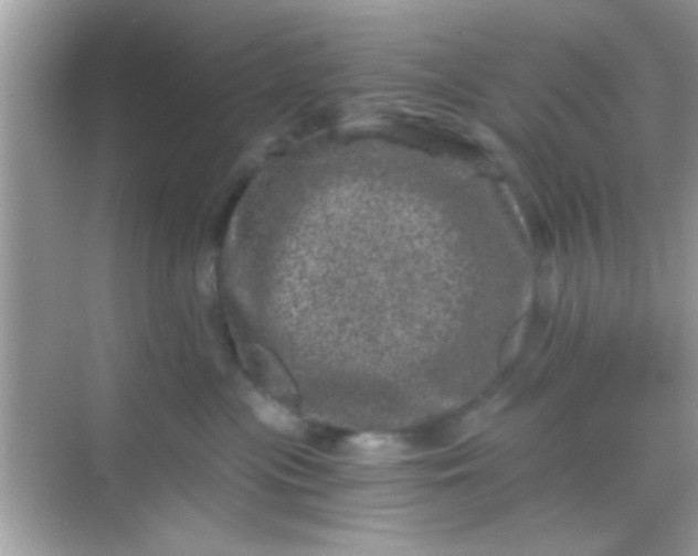 X0000068280477200605051846