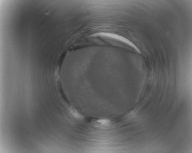 X0000068280478200605051846