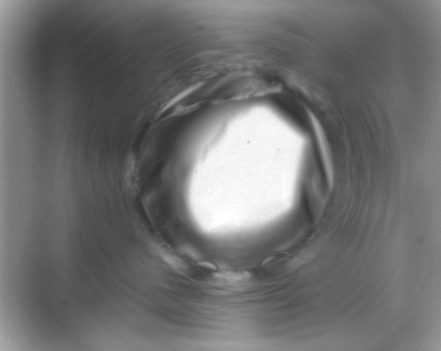 X0000068280480200605051846