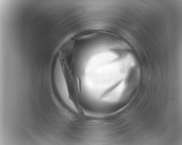 X0000068280482200605051845