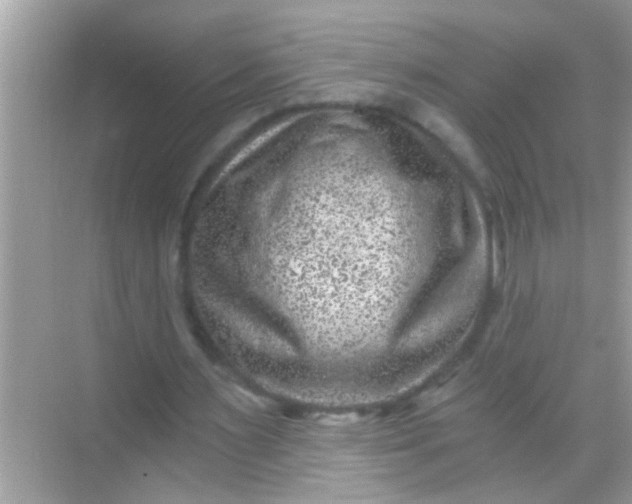 X0000068280483200605051845