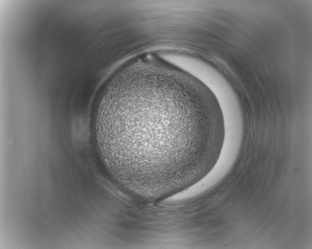 X0000068280484200605051845