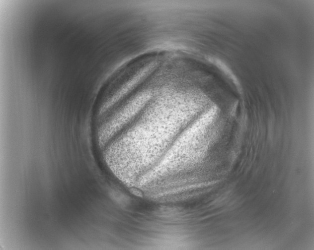 X0000068280487200605051845