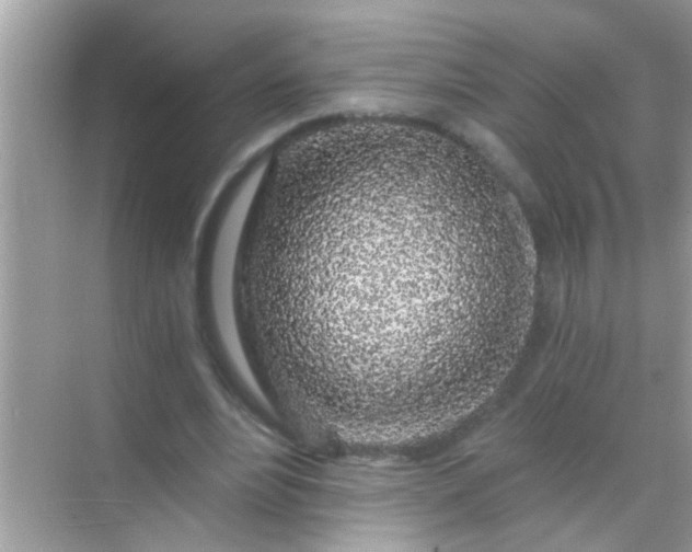 X0000068280488200605051845