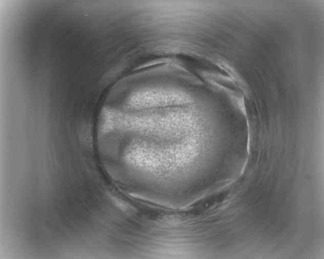 X0000068280489200605051845