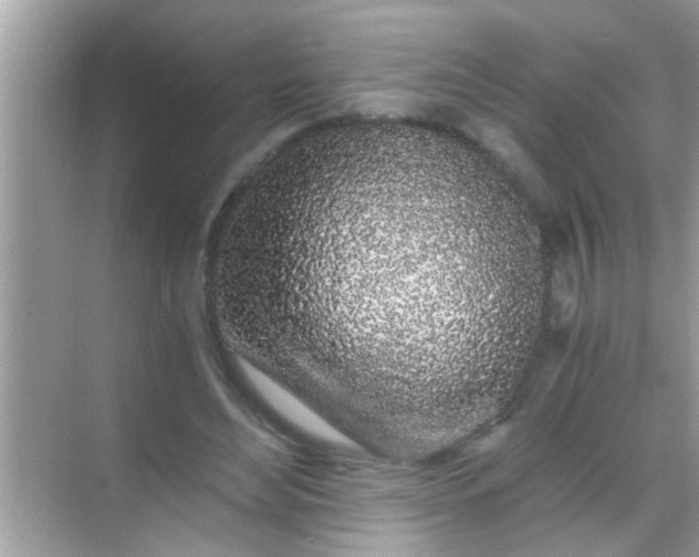 X0000068280492200605051845