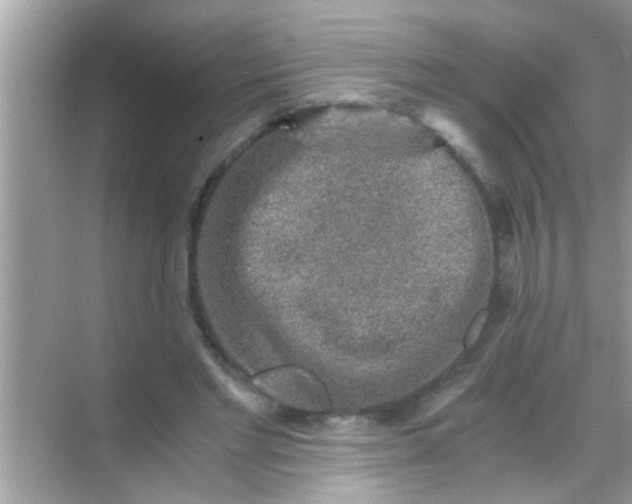 X0000068280493200605051845