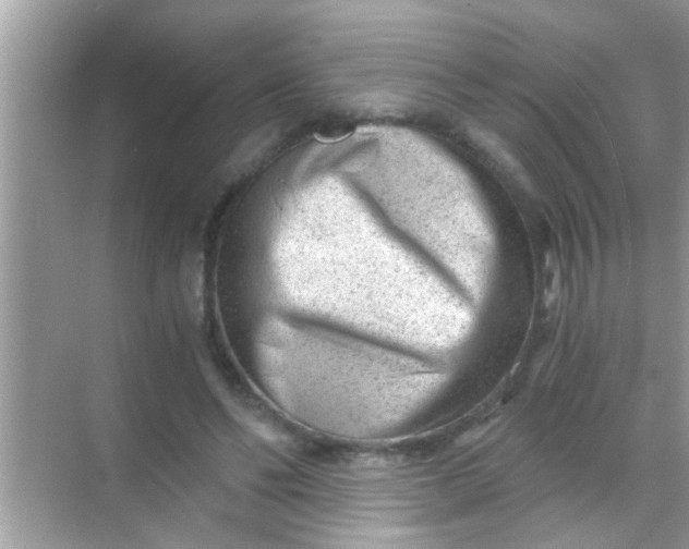 X0000068280494200605051845