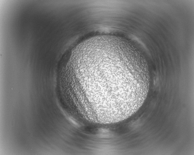 X0000068280496200605051845