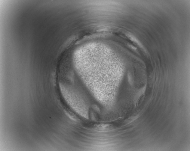 X0000068280497200605051845