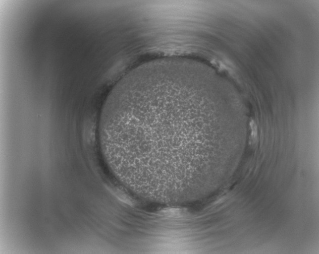 X0000068280499200605051845