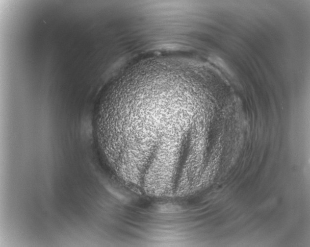 X0000068280500200605051845