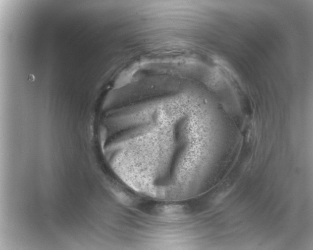 X0000068280501200605051845