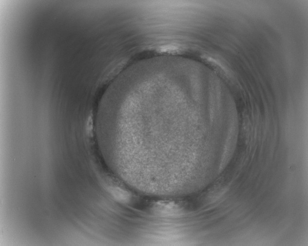 X0000068280502200605051845