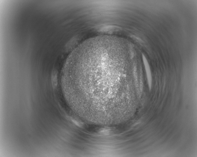 X0000068280504200605051845