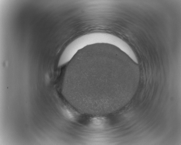 X0000068280508200605051845