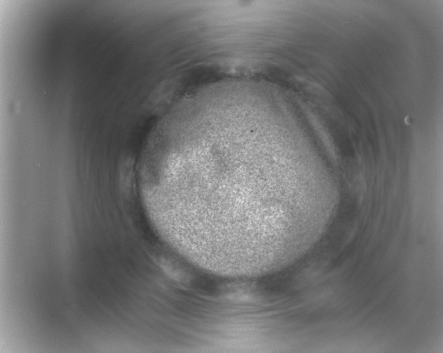 X0000068280511200605051845