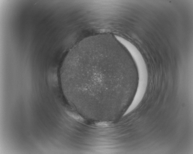 X0000068280516200605051845