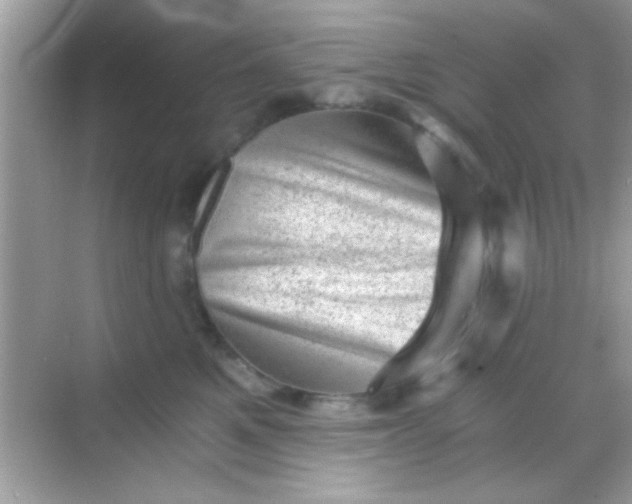 X0000068280521200605051845