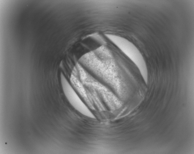 X0000068280524200605051845