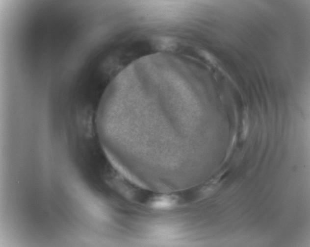 X0000068280525200605051845