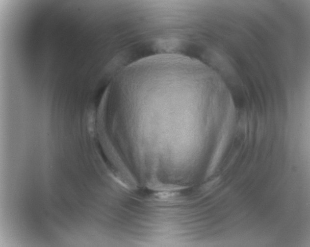 X0000068280526200605051845