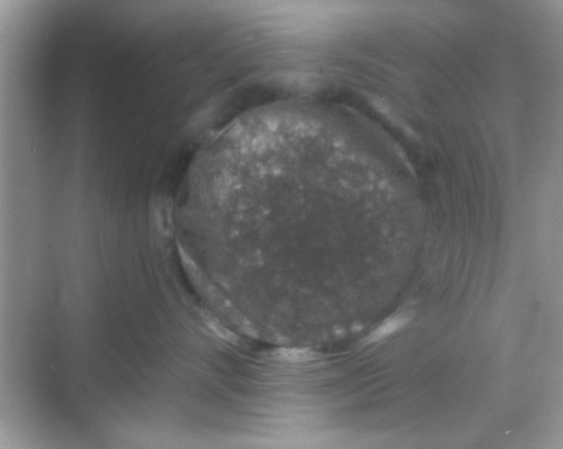 X0000068280528200605051845