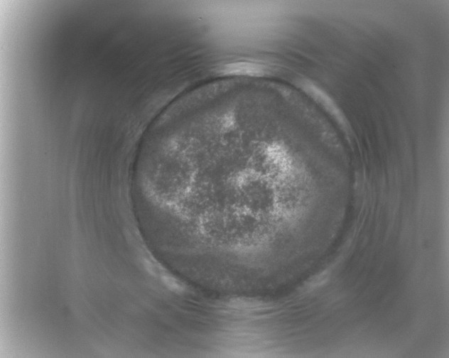 X0000068280529200605051844