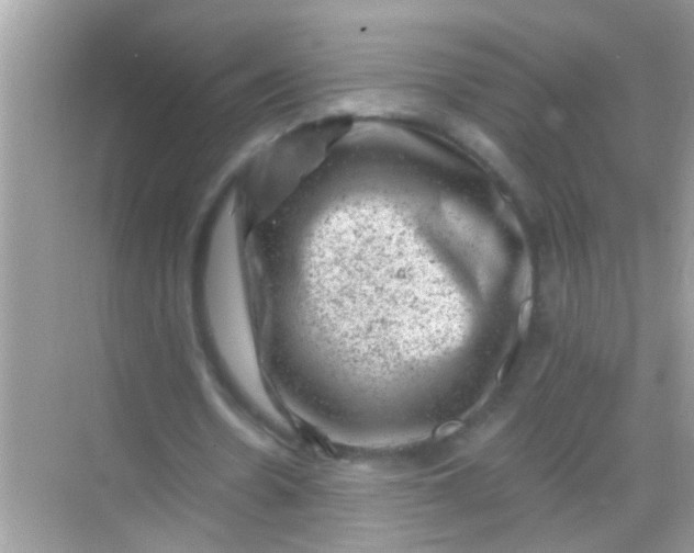 X0000068280530200605051844