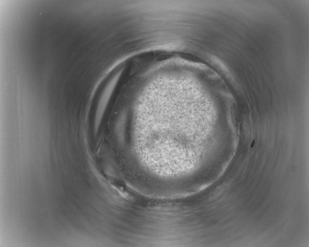 X0000068280532200605051844