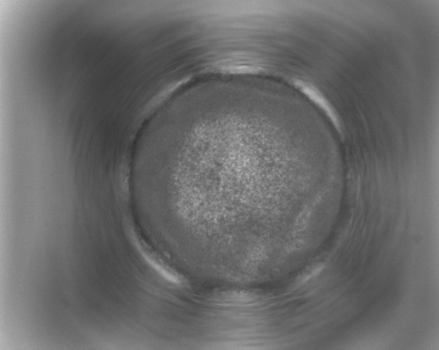 X0000068280533200605051844