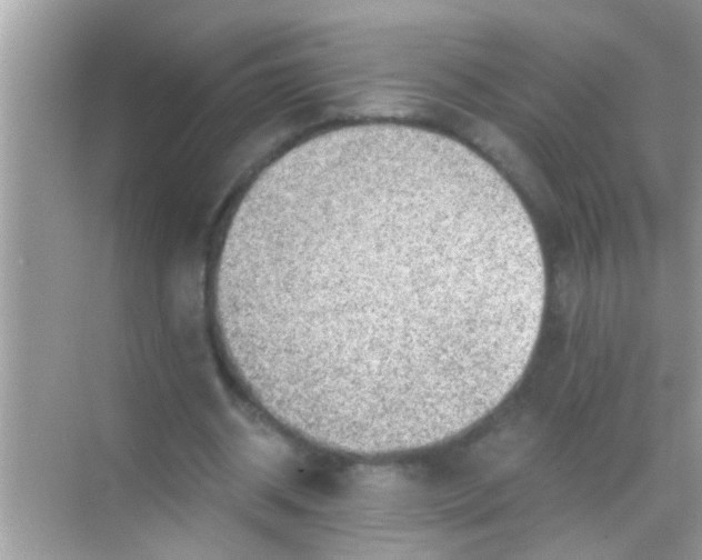 X0000068280534200605051844