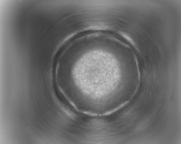 X0000068280535200605051844