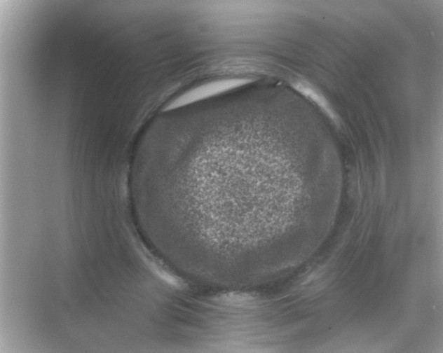 X0000068280537200605051844