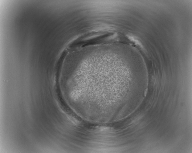 X0000068280539200605051844