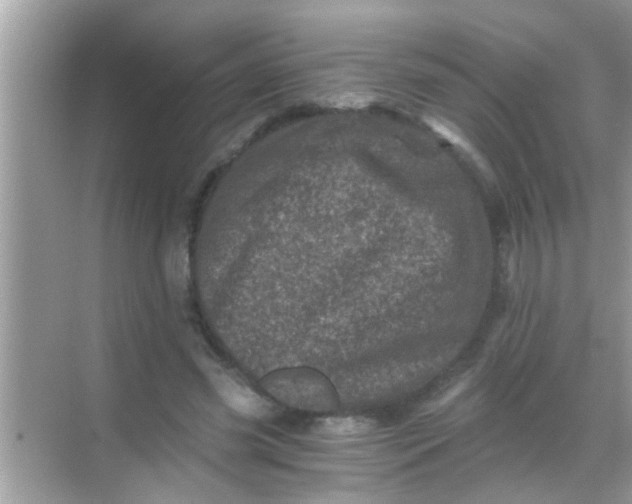 X0000068280541200605051844