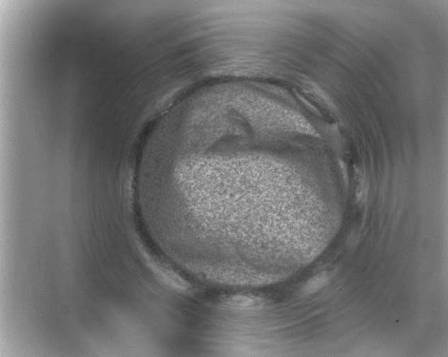 X0000068280542200605051844