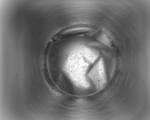 X0000068280544200605051844