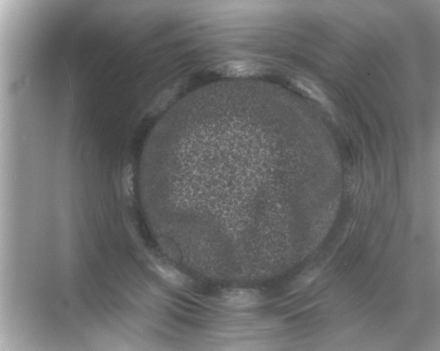 X0000068280549200605051844