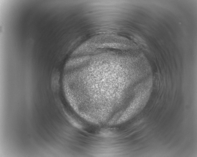 X0000068280550200605051844