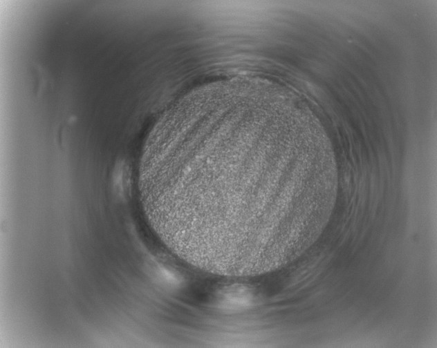 X0000068280551200605051844