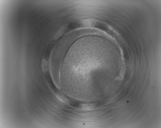 X0000068280556200605051844